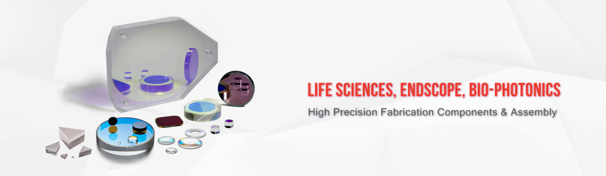 Life Sciences